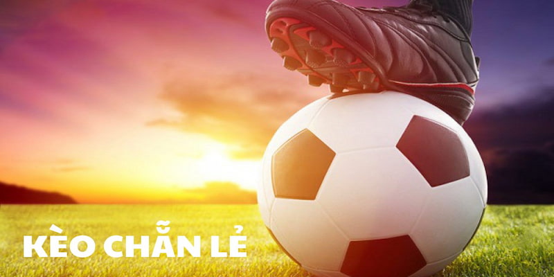 Chiến Lược Cược Kèo Chẵn Lẻ Hiệu Quả